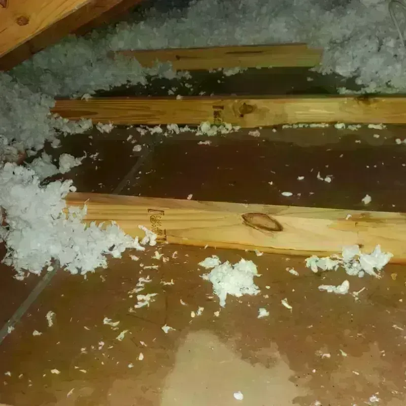 Attic Water Damage in Carlton, MN