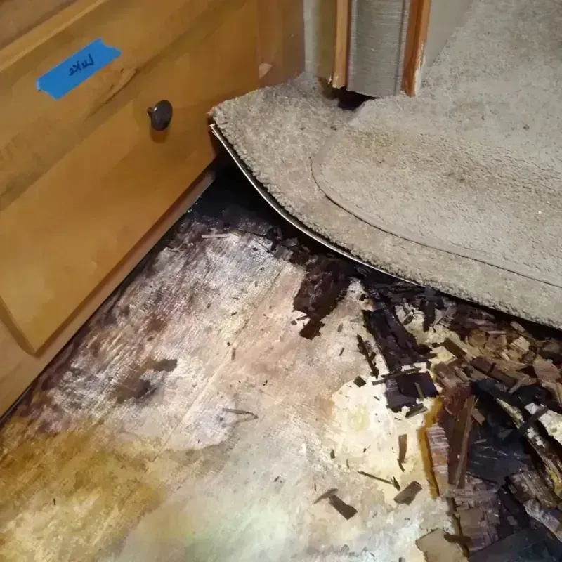 Best Wood Floor Water Damage Service in Carlton, MN